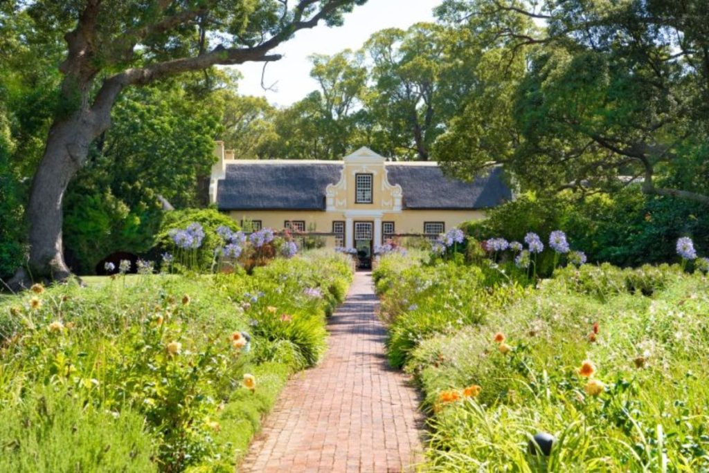 Read more about the article LOUW ROETS DESIGNER FURNITURE: SUMMER IN THE CAPE WINELANDS